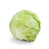 arealcabbage
