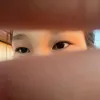 spider_03817