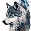 user2432413802008