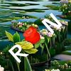 mstnayema11224433