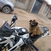 aldairgo10
