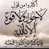 dailyweatherforecast2