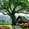 roha_edi0814