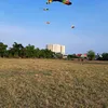 phuongngoc7196