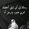 tasdda27