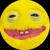 hai.isn