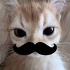 btyi_