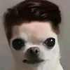 vinaryaj