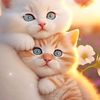 sweetlovem