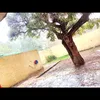 feforodriguez441