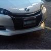 bull_38888