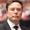 elonmusk_12113
