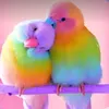 ruq__0