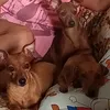 carla_galdino