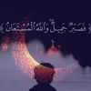 waelahmed5197