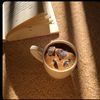 riwaya_books0