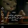 user6497258266964
