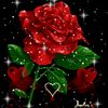 user7y72org9n2