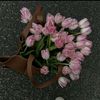 asmaa999901
