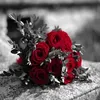 noor.eng7