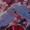 user8544774007382ashqqqq