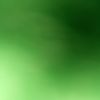 adelmahmoud237