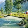 zaeembutt790