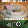 never_a_snek