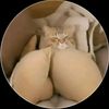 leonelmv0114