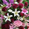ivana._293