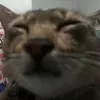 iza_y707