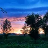 raketta_19