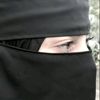 kamran2756888