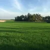 thanhtung300810