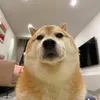 chad_boy01