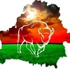 user84001123453466