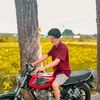 indrawer_wer
