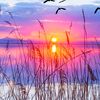 suresh.suresh0734