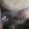 imalyaqin3