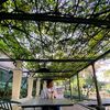 nishan_waiba