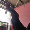 mr.bhaonk6763