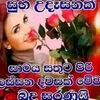 dilanidilani61