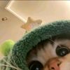 cnt4ww__