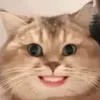 clowbalck