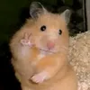 nala6095