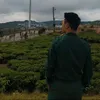 nguyenquy03n
