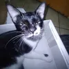 kiansve7
