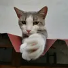 psychiatrist_tiktok4