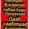 deeqobaashi1