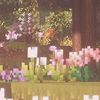 tulipxgirlll